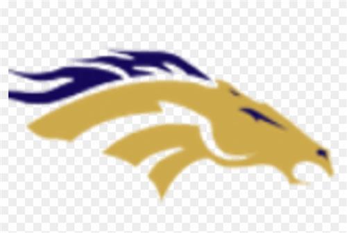 bronco logo 